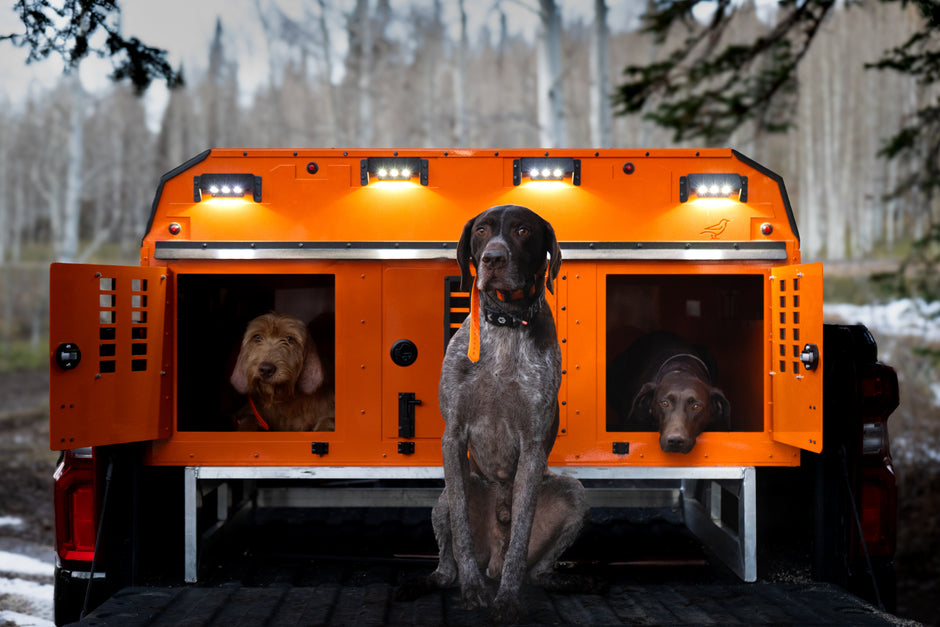 HAVOC  (Full Size Truck)