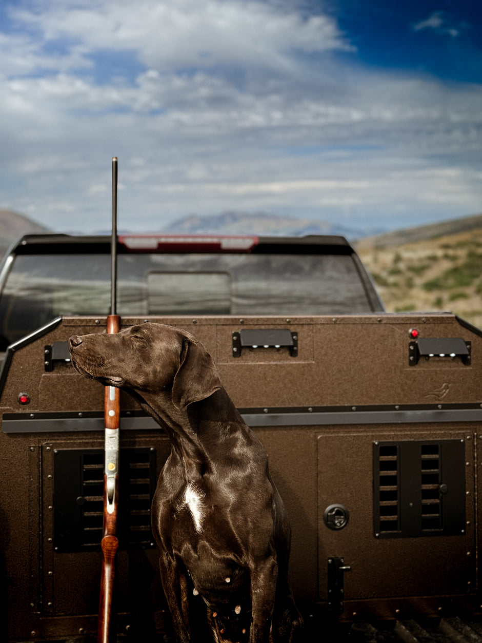 DAUNTLESS (Full Size Truck)