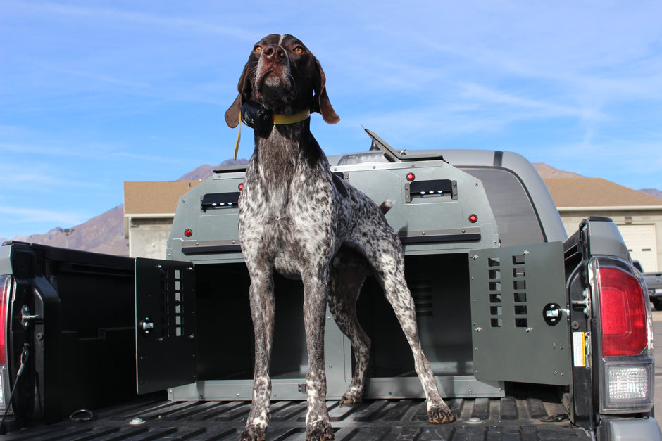 WARDEN (Mid Size Truck)