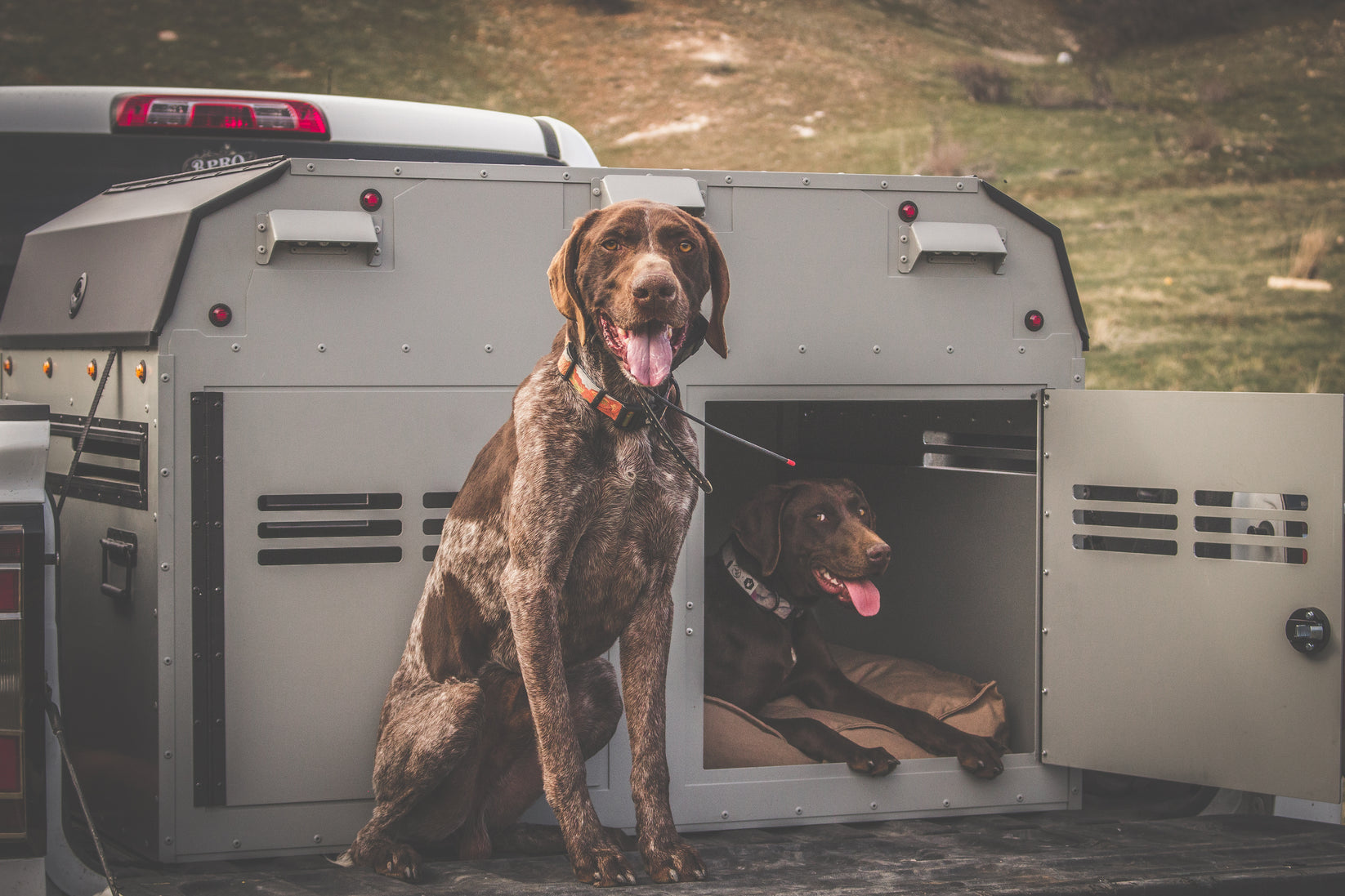 Lightning Premium Dog Box BPRO Kennels Premier Dog Boxes